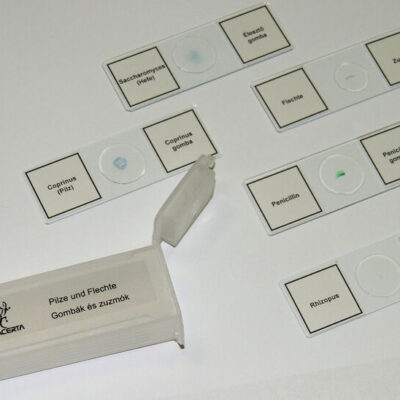 MICROSCOPES Prepared Slides, Fungus (5pcs)