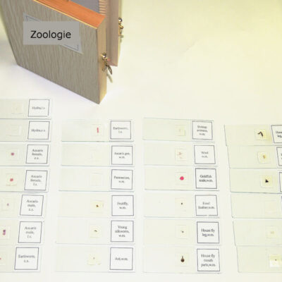 MICROSCOPES Prepared Slides, Insects (25pcs)