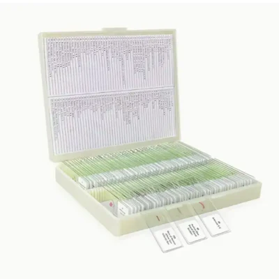 MICROSCOPES Prepared Specimen Slides High-Quality (100pcs) - TELESCOPIUM.GR